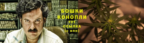 ALPHA PVP Остров