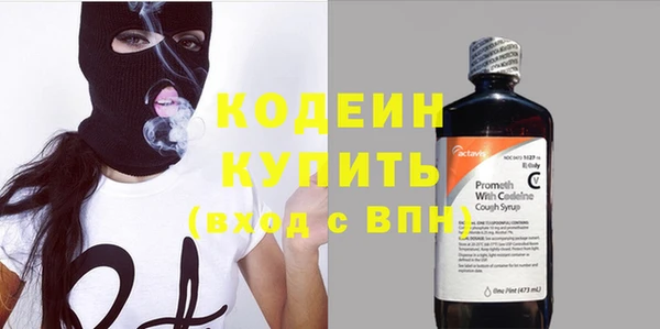 шишки Осташков
