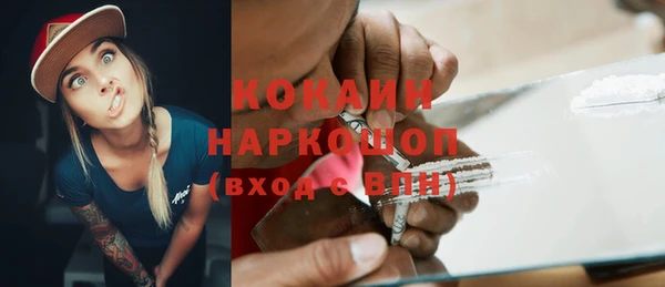 шишки Осташков