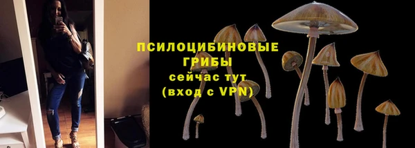 каннабис Абаза