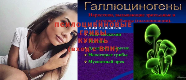 амф Осинники