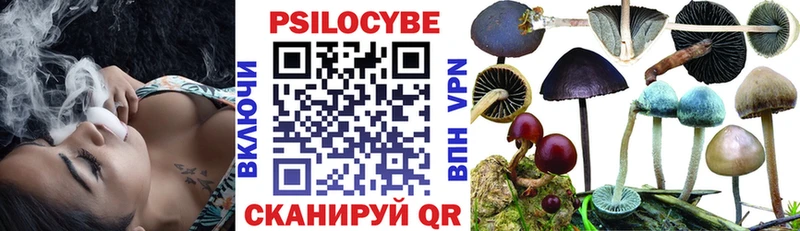 наркотики ссылка на мегу ONION Галлюциногенные грибы Psilocybe Суоярви